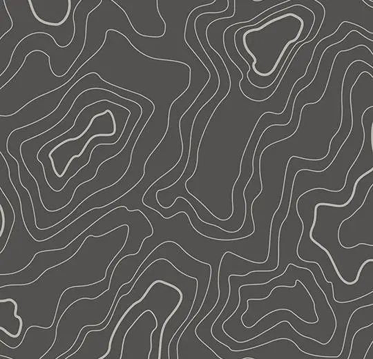 919UP43C grey topography